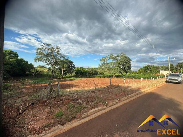 #51 - Área para Venda em Antônio João - MS - 3