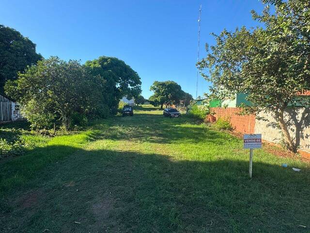 #29 - Área para Venda em Antônio João - MS