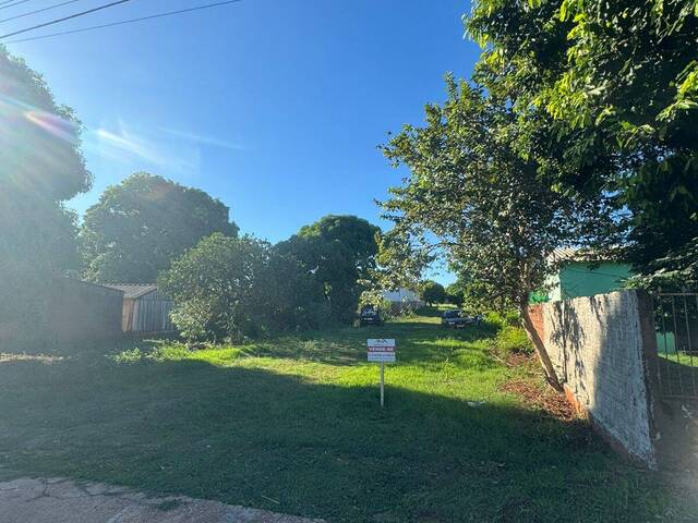 #29 - Área para Venda em Antônio João - MS